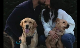 写真情侣狗,写真情侣狗的温馨日常