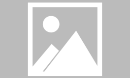 网红菠菜料,揭秘绿色美食背后的健康密码